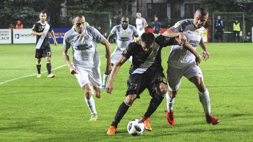 O rywalu słów kilka: Puszcza Niepołomice